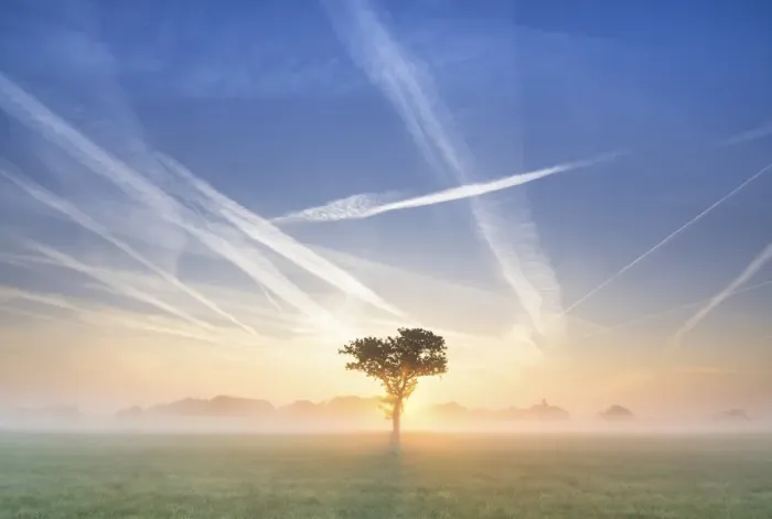 Framed Print : Condensation trails in the sky, sunrise in Basse, Lake Mariensee, Neustadt am Ruebenberge, Lower Saxony, Germany, Europe Framed Print : Condensation trails in the sky, sunrise in Basse, Lake Mariensee, Neustadt am Ruebenberge, Lower Saxony, Germany, Europe