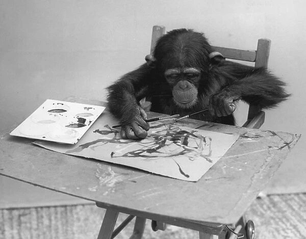 Congos Artwork. Congo, London Zoos artistic chimpanzee