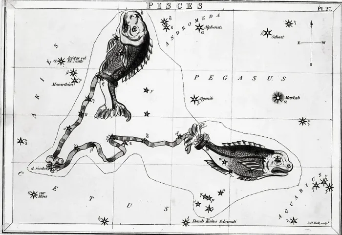 Framed Print : Constellation Pisces; Fish; Engraving Framed Print : Constellation Pisces; Fish; Engraving