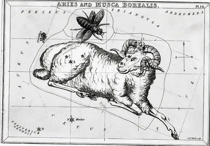 Framed Print : Constellations Aries, Musea Borealis;Engr Framed Print : Constellations Aries, Musea Borealis;Engr