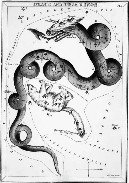 Framed Print : Constellations;Little Bear;Dragon;Engr
