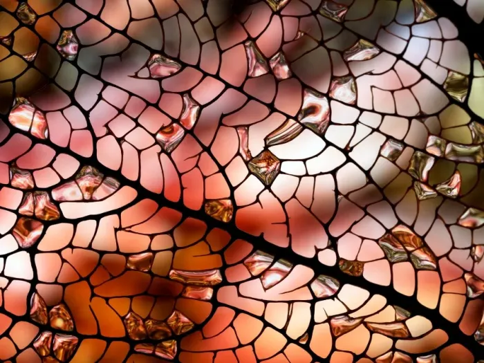 Framed Print : Coral abstract Framed Print : Coral abstract