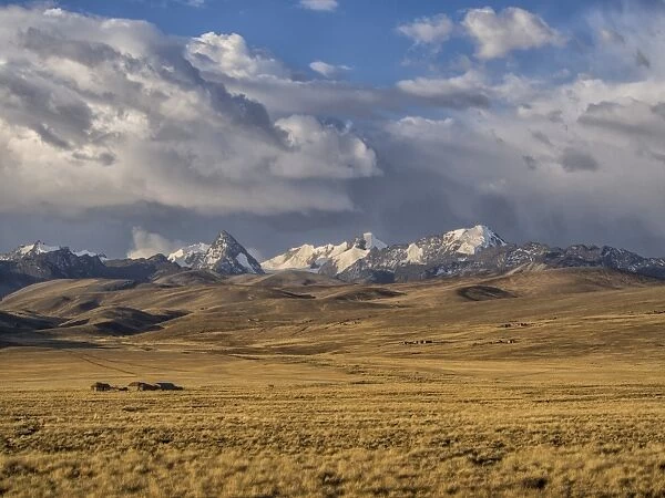Cordillera Real at sunset, Bolivian plateau Altiplano, La Paz, Bolivia