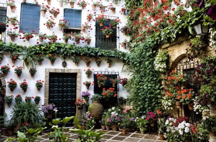 Framed Print : Cordoba, que mAas