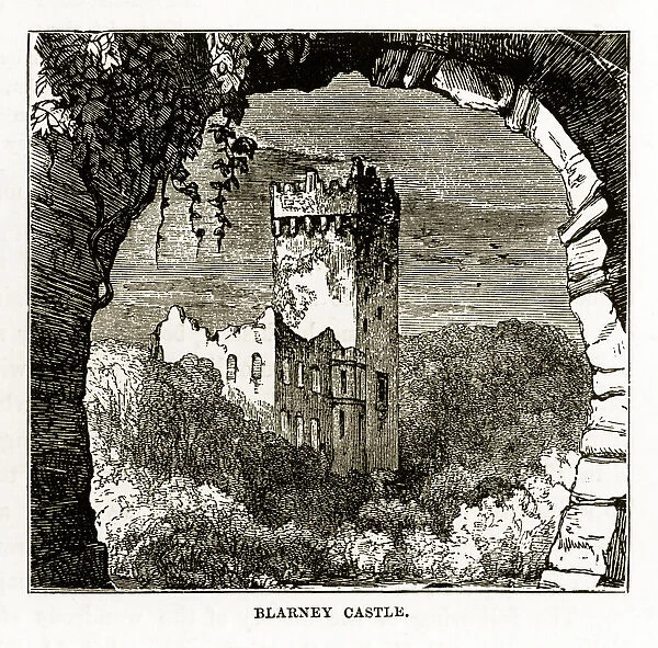 Cork, Blarney Castle, County Cork, Ireland Victorian Engraving, 1840