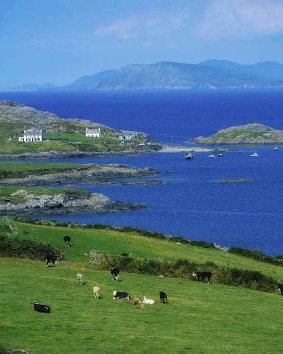Framed Print : Co Cork, Garinish Island, Beara Peninsula, Ireland Framed Print : Co Cork, Garinish Island, Beara Peninsula, Ireland