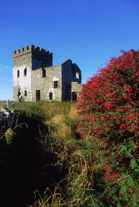 Framed Print : Co Cork, signal tower near Skibbereen, Ireland