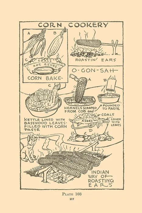 Framed Print : Corn Cookery Framed Print : Corn Cookery