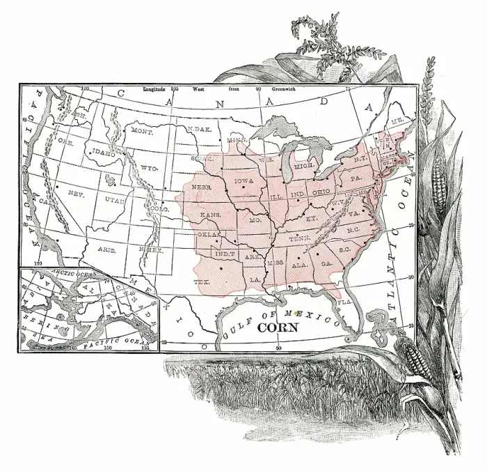 Framed Print : Corn crop distribution engraving 1867 Framed Print : Corn crop distribution engraving 1867