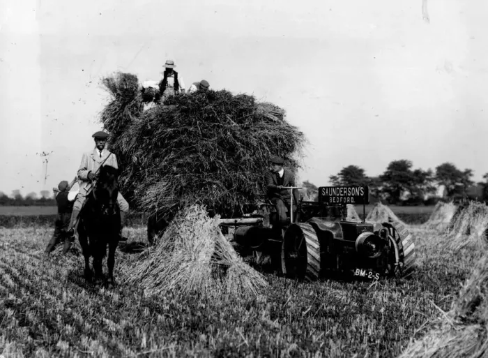 Framed Print : Corn Harvest