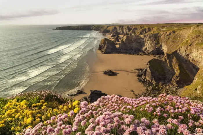 Framed Print : Bliss. Cornish flower power in spring Framed Print : Bliss. Cornish flower power in spring
