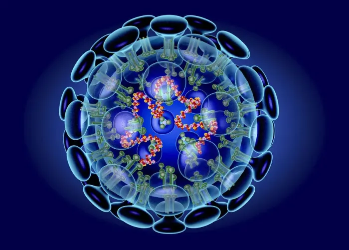 Framed Print : Coronavirus structure, illustration