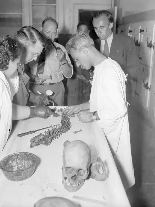 Framed Print : Coroner Examining Human Bones Framed Print : Coroner Examining Human Bones
