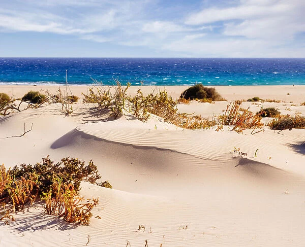 Corralejo Sand Dunes near the Atlantic Ocean in Fuerteventura, Canary Islands