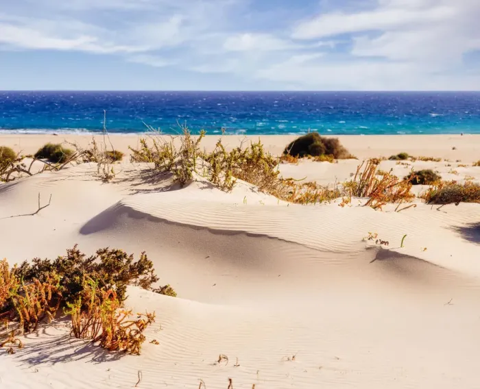 Framed Print : Corralejo Sand Dunes near the Atlantic Ocean in Fuerteventura, Canary Islands Framed Print : Corralejo Sand Dunes near the Atlantic Ocean in Fuerteventura, Canary Islands
