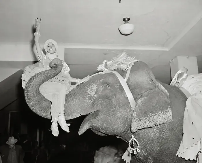 Framed Print : Costumed Dancing Elephant Carrying Female Performer Framed Print : Costumed Dancing Elephant Carrying Female Performer