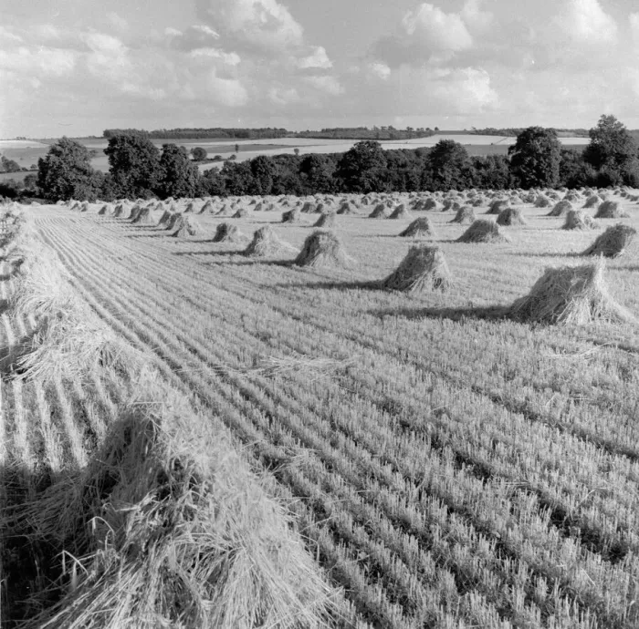 Framed Print : Cotswold Hills