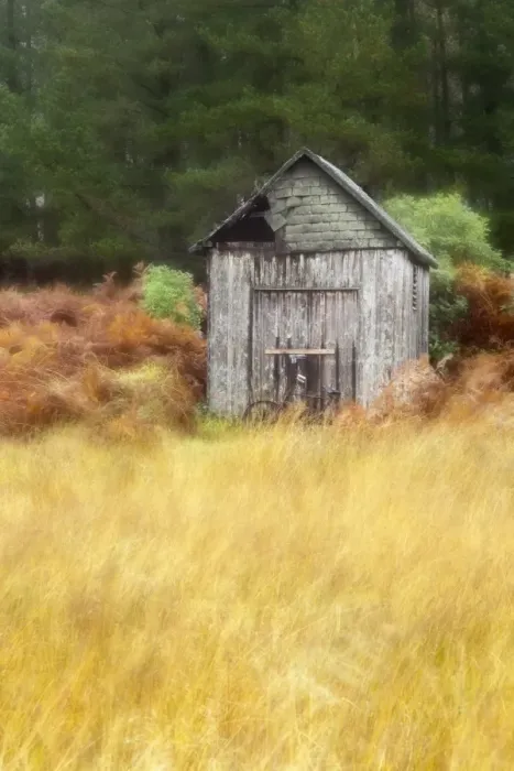 Framed Print : Cottage