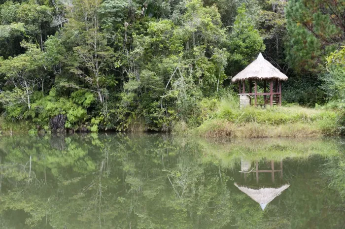 Framed Print : Cottage reflected in a lake, jungle, primary forest, Andasibe-Mantadia National Park, Alaotra Mangoro region, Madagascar Framed Print : Cottage reflected in a lake, jungle, primary forest, Andasibe-Mantadia National Park, Alaotra Mangoro region, Madagascar