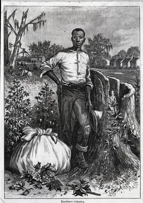 Framed Print : Cotton Field With Afro-American Worker