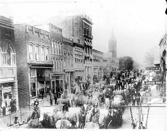 Framed Print : Cotton Is Hauled Down Streets Of Rock Hill, South Carolina Framed Print : Cotton Is Hauled Down Streets Of Rock Hill, South Carolina