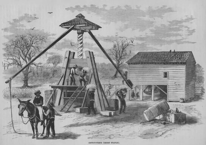 Framed Print : A Cotton Press Framed Print : A Cotton Press