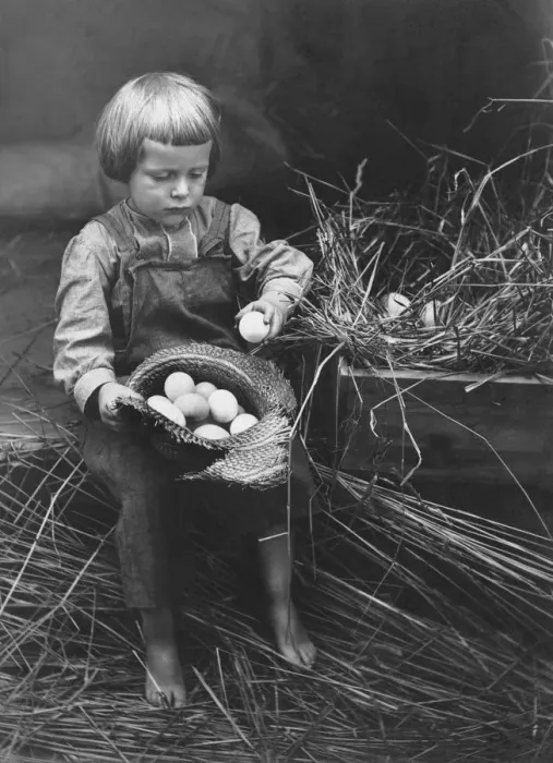 Framed Print : Counting Eggs Framed Print : Counting Eggs