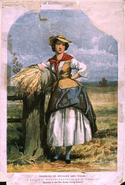 Country Maiden