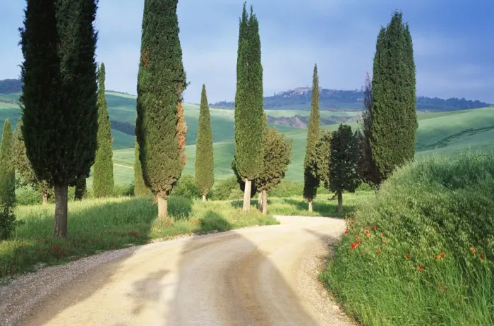 Framed Print : Country Road Framed Print : Country Road
