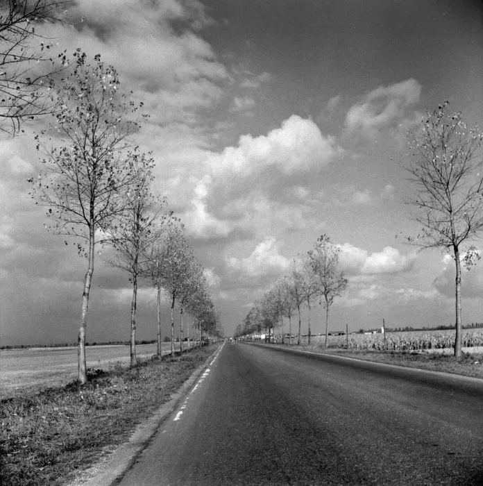 Framed Print : Country Road