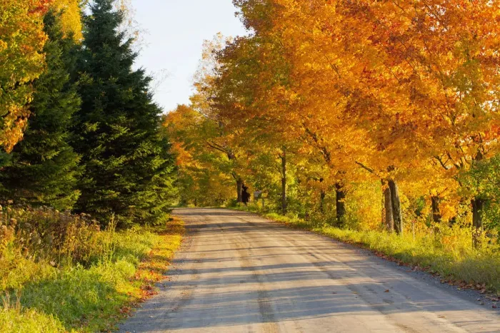 Framed Print : Country road in autumn, West Bolton, Quebec, Canada