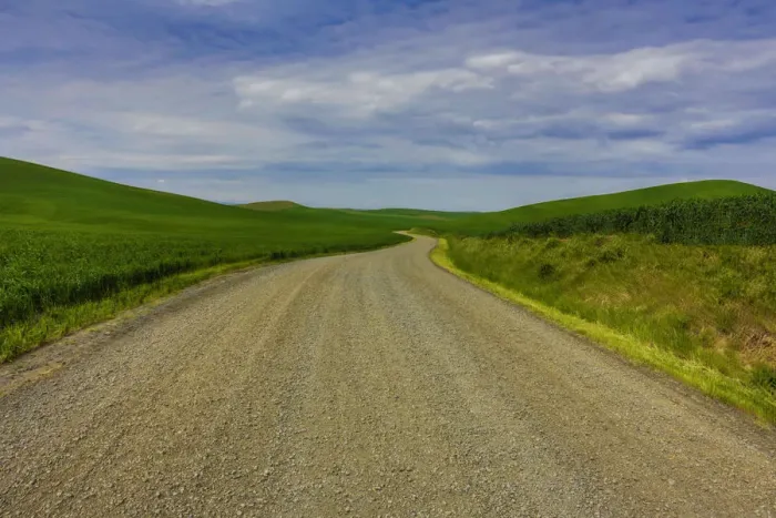 Framed Print : Country road through wheat fields of Palouse region in spring, Washington State, USA