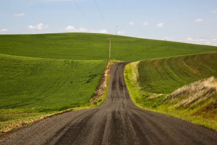 Framed Print : Country road through wheat fields of Palouse region in spring, Washington State, USA
