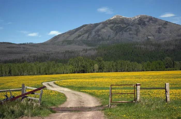 Framed Print : Country Roads, Farm in front of Mountain Near Glacier National Park, Montana, USA