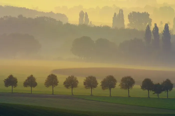 Framed Print : Countryside of the Lower Rhine in the morning, Sonsbeck, Lower Rhine, Germany Framed Print : Countryside of the Lower Rhine in the morning, Sonsbeck, Lower Rhine, Germany