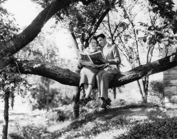 Framed Print : Couple Sitting on Branch Reading Framed Print : Couple Sitting on Branch Reading