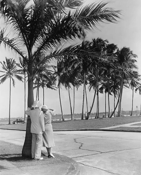 Couple standing at palm tree, (Rear view) (B&W)