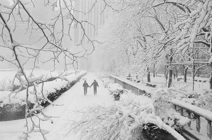 Framed Print : Couple Walking Through Park in Snow Framed Print : Couple Walking Through Park in Snow