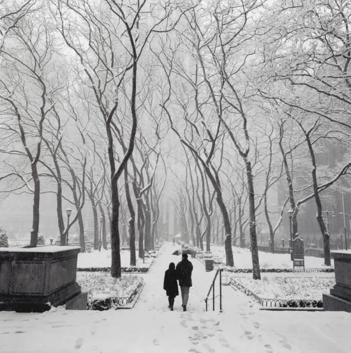 Framed Print : Couple walking in snow-covered park, New York City Framed Print : Couple walking in snow-covered park, New York City