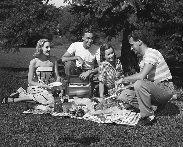 Two couples having a picnic