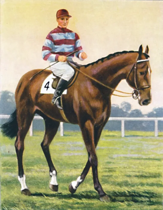 Framed Print : Couvert, Jockey: C. Richards, 1939. Winner of the Royal Hunt Cup