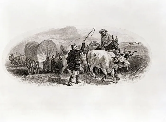 Framed Print : Covered Wagons Cross The Plains Framed Print : Covered Wagons Cross The Plains