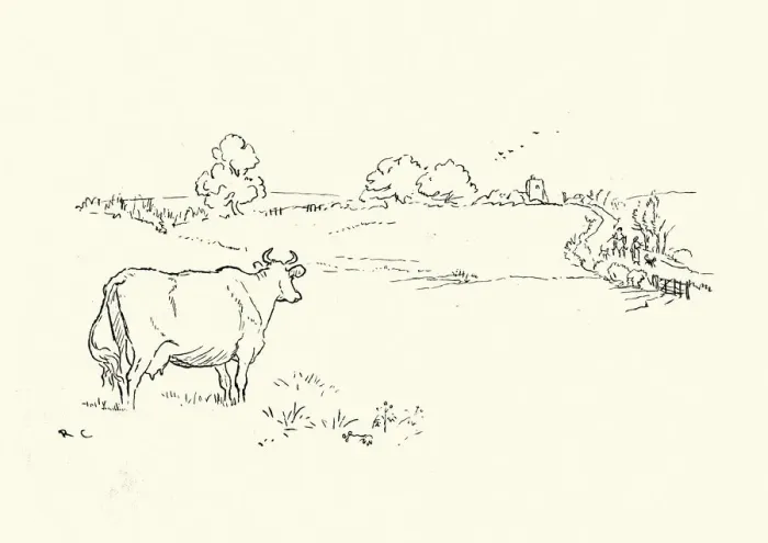Framed Print : The cow watching the milkmaid and the Squire Framed Print : The cow watching the milkmaid and the Squire