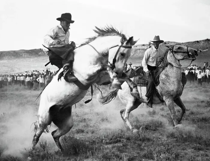 Framed Print : Cowboy Competing in Rodeo Framed Print : Cowboy Competing in Rodeo