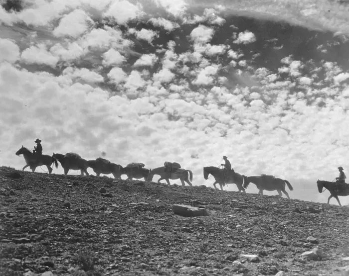 Framed Print : Cowboy Mule Train Silhouetted Against Sky Framed Print : Cowboy Mule Train Silhouetted Against Sky