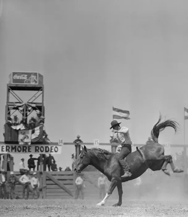 Framed Print : Cowboy Riding Bucking Horse Framed Print : Cowboy Riding Bucking Horse