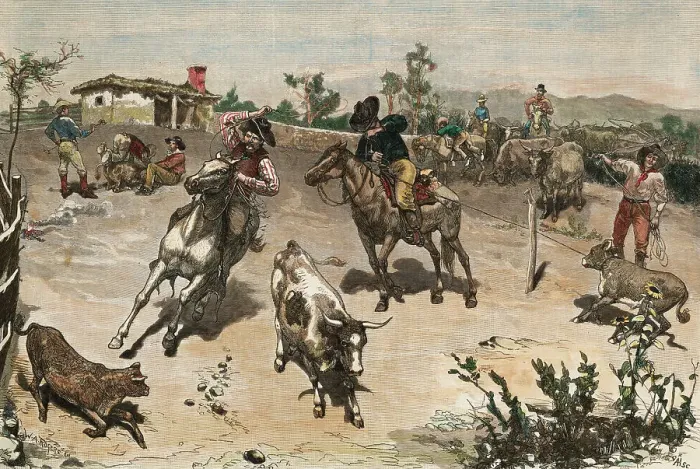 Framed Print : Cowboys Roping Cattle Framed Print : Cowboys Roping Cattle