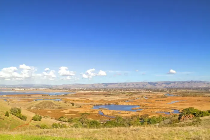 Framed Print : Coyote Hill