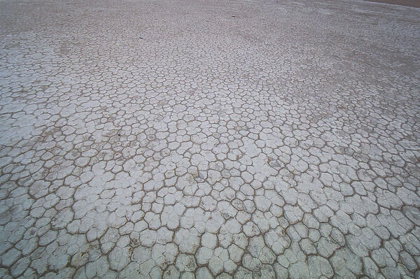 Cracked clay on pan floor at Deadvlei, Namib-Naukluft National Park, Hardap Region, Namibia