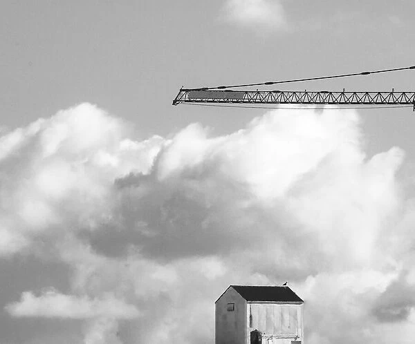 Crane and Cloud